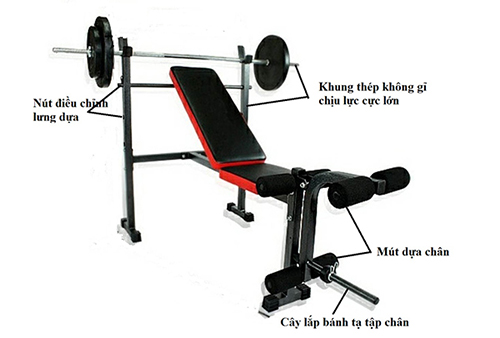 Mua ghế tập tạ ở đâu uy tín nhất